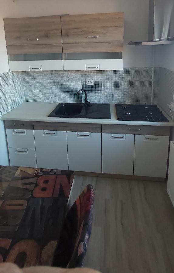 Studio Elisa Appartamento Caransebeş Esterno foto