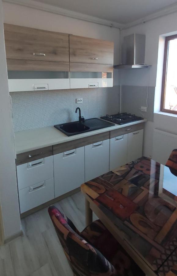 Studio Elisa Appartamento Caransebeş Esterno foto