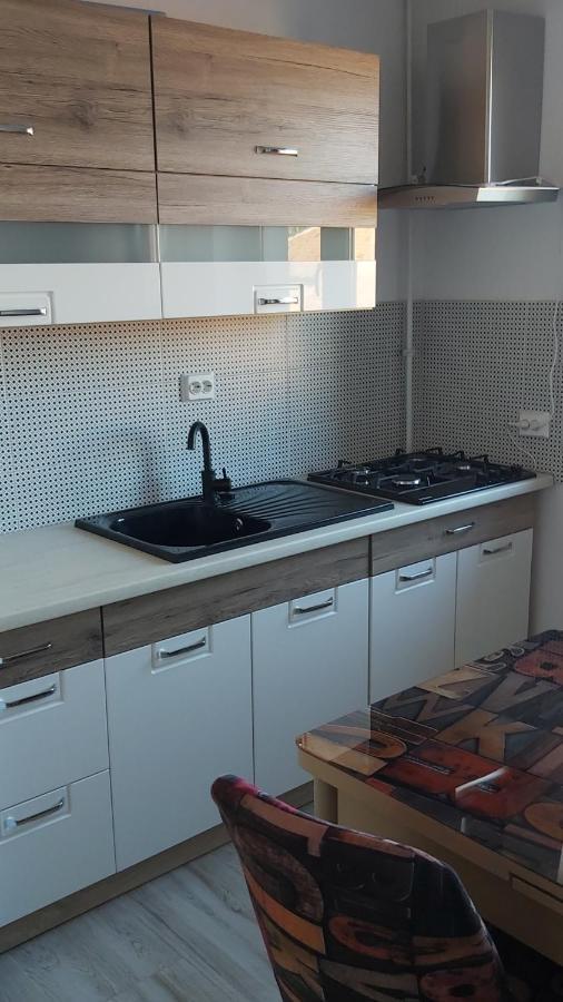 Studio Elisa Appartamento Caransebeş Esterno foto
